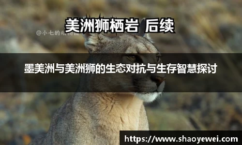 墨美洲与美洲狮的生态对抗与生存智慧探讨