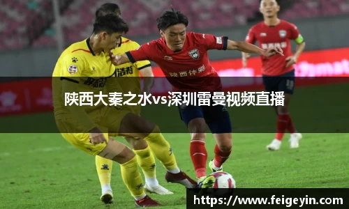 陕西大秦之水vs深圳雷曼视频直播