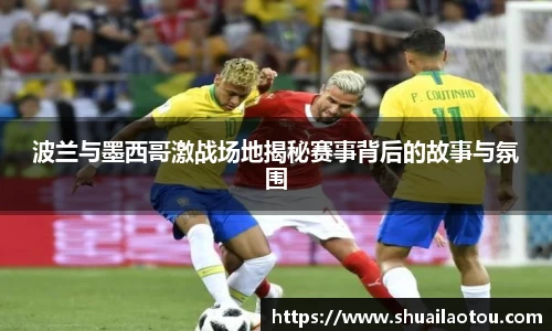 波兰与墨西哥激战场地揭秘赛事背后的故事与氛围