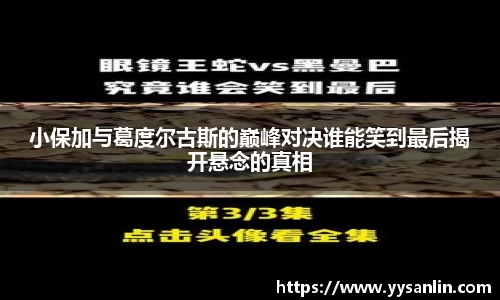 小保加与葛度尔古斯的巅峰对决谁能笑到最后揭开悬念的真相