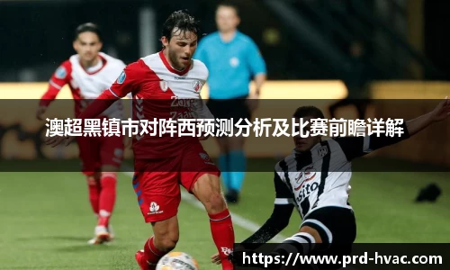澳超黑镇市对阵西预测分析及比赛前瞻详解